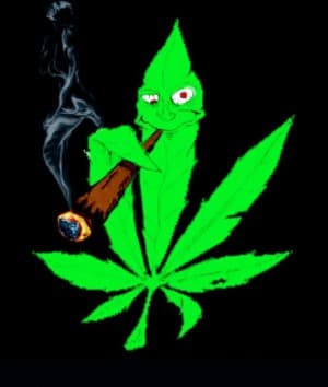 DrBigBudz's LeafedOut Profile