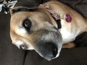 Livingdeadgirl79's LeafedOut Profile