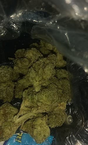 Runtzup's LeafedOut Profile