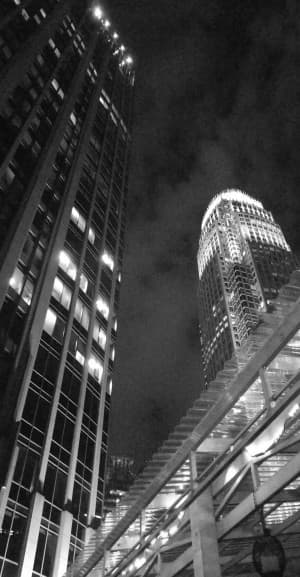 Straightgunna172's LeafedOut Profile