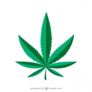 sativaaindicaa's LeafedOut Profile