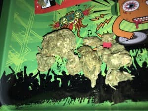 bigtoker88's LeafedOut Profile