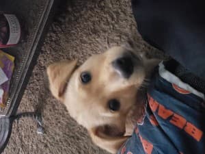 PrinceWeavis27's LeafedOut Profile