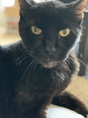 TaterToots's LeafedOut Profile
