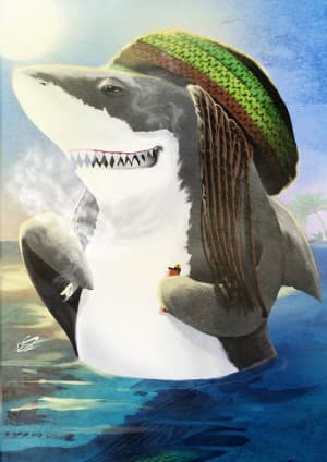 DankBud024's LeafedOut Profile