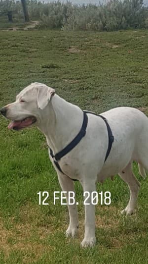 Jaoli82's LeafedOut Profile