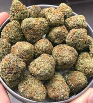 Weedtornado's LeafedOut Profile