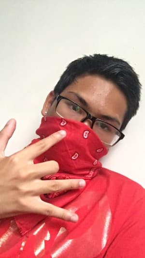 Sumo's LeafedOut Profile