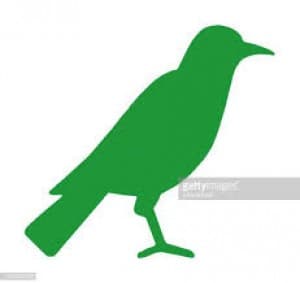 raven at my door's LeafedOut Profile