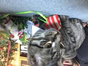 vehement_socks's LeafedOut Profile