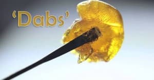 rosindabs's LeafedOut Profile