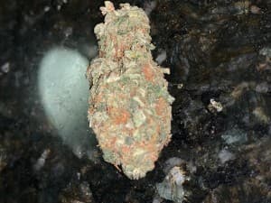 Greensmoke11's LeafedOut Profile