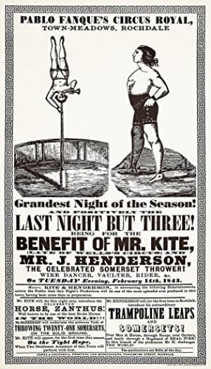 MisterKite's LeafedOut Profile