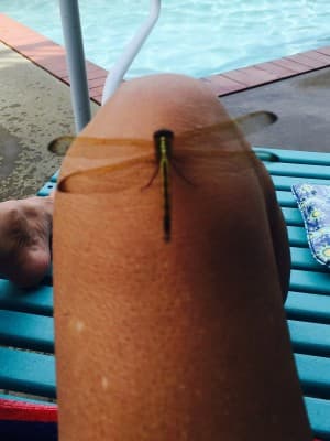 leafthis97's LeafedOut Profile