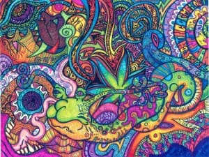 sushisashz's LeafedOut Profile