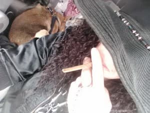 SOOKIEJANE99's LeafedOut Profile