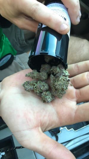 needweed94's LeafedOut Profile