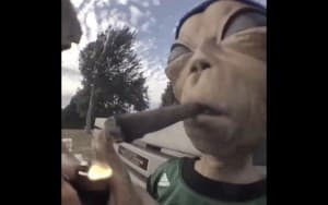 LmaoAlien's LeafedOut Profile