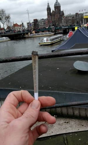 HakkenVoorLeven's LeafedOut Profile