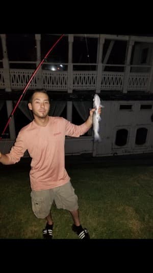 NickV's LeafedOut Profile