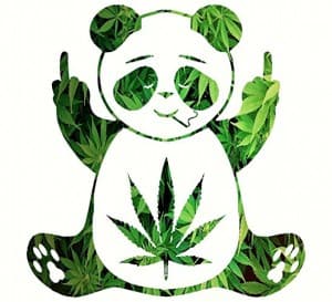 Mthrfker's LeafedOut Profile