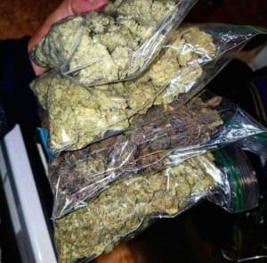 Dany's LeafedOut Profile