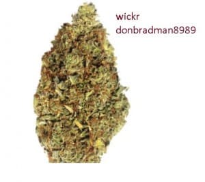 fcbarcelona357's LeafedOut Profile