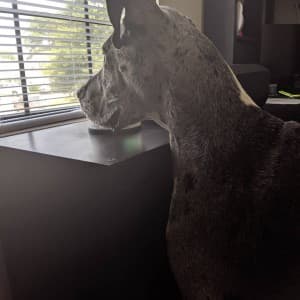 Llv92's LeafedOut Profile