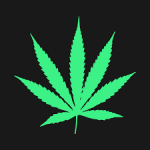 Hamr's LeafedOut Profile