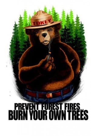 TokeyTheBear's LeafedOut Profile