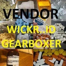 GEARBOXER's LeafedOut Profile