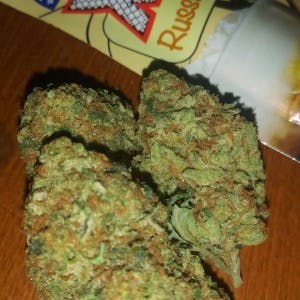 Bud4sale129's LeafedOut Profile
