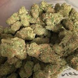 Weed-and-Buds's LeafedOut Profile