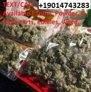 POT420-AVAILABLE-FORSALE-NOW's LeafedOut Profile