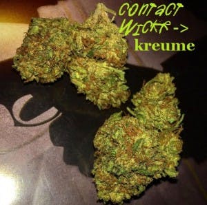 Bud4Sale97's LeafedOut Profile