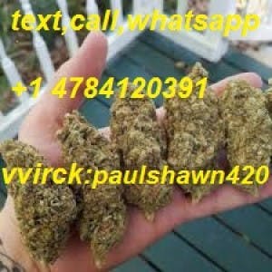 WEED_FAST_DELIVERY4's LeafedOut Profile
