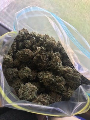 weedforsale003's LeafedOut Profile