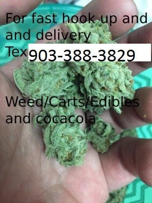 WEED-CARTD's LeafedOut Profile