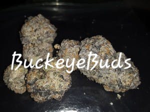 BuckEyeBud86's LeafedOut Profile