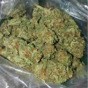 Weed-and-Buds13's LeafedOut Profile