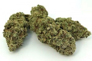 Bud4sale134's LeafedOut Profile