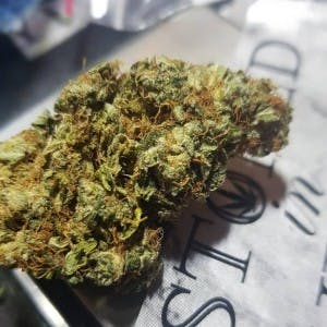 Bud4sale116's LeafedOut Profile