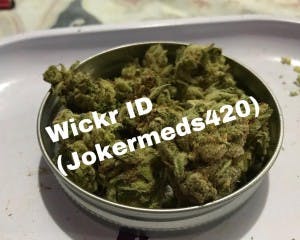 HighMate4207's LeafedOut Profile