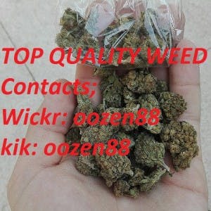 worcester_weed's LeafedOut Profile