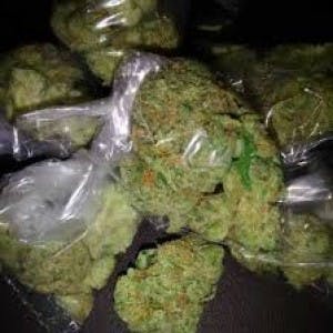 Weed-and-Buds3's LeafedOut Profile