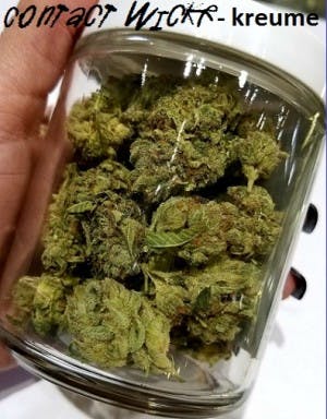 Bud4Sale84's LeafedOut Profile