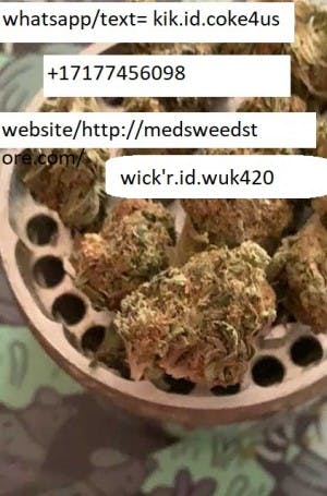 coutterweedfirstweed420u's LeafedOut Profile