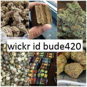 fwefwcen420's LeafedOut Profile