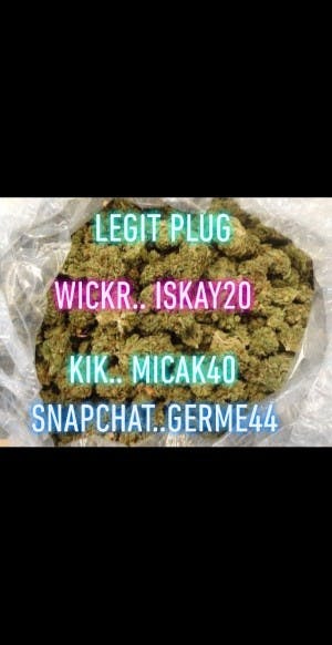 micrack656's LeafedOut Profile