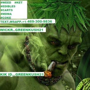 TOP-QUALITY-WEED-HASH-WEDIBLE-CARTSvs's LeafedOut Profile